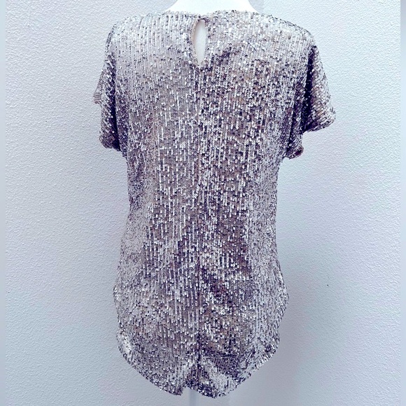 Silver Sequins Tunic - Picture 12 of 13